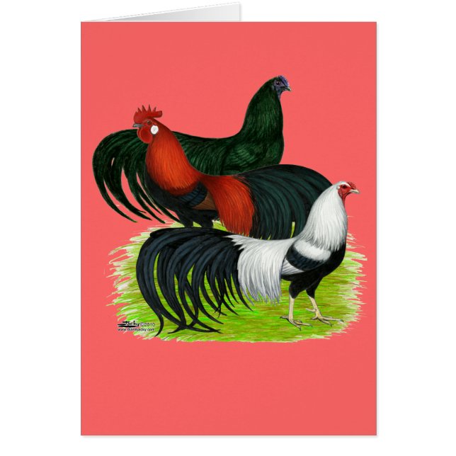 Cartão Trio de Galeria de Longa Distância (Frente)