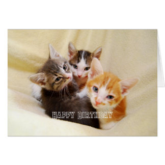 Cartão Trio de Gatinhos Quentes e Fofos Feliz Aniversário