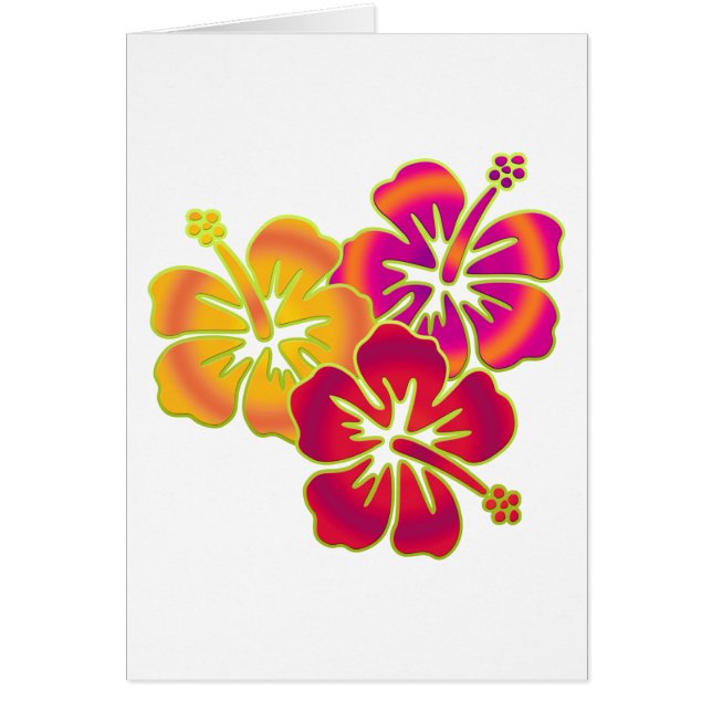 Cartão trio de hibisco (Frente)