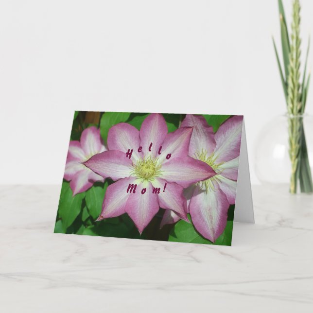 Cartão Trio of Clematis Mother's Day Card (Frente)