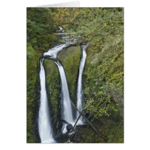 Cartão Triple Falls, Garganta do Rio Columbia