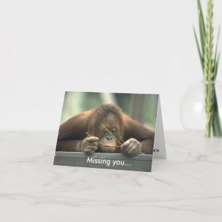 Cartão Triste Orangutan Sentiu Sua Falta