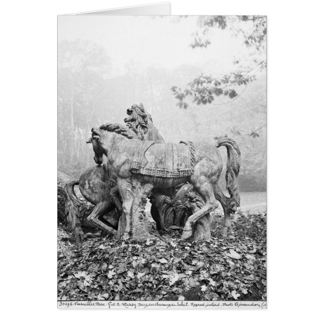 Cartão Tritons limpando dois cavalos do sol (Frente)