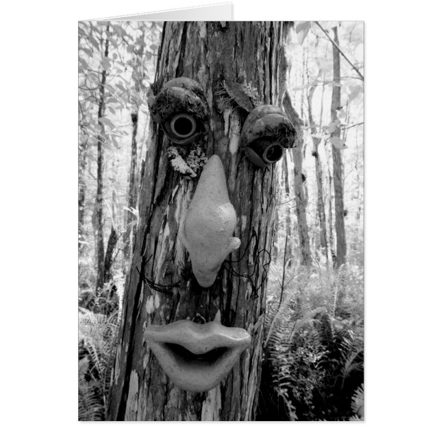 Cartão Troll da árvore em uma árvore Big Cypress. (Frente)