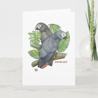 Cartão Tropical African Greys Greeting Cards
