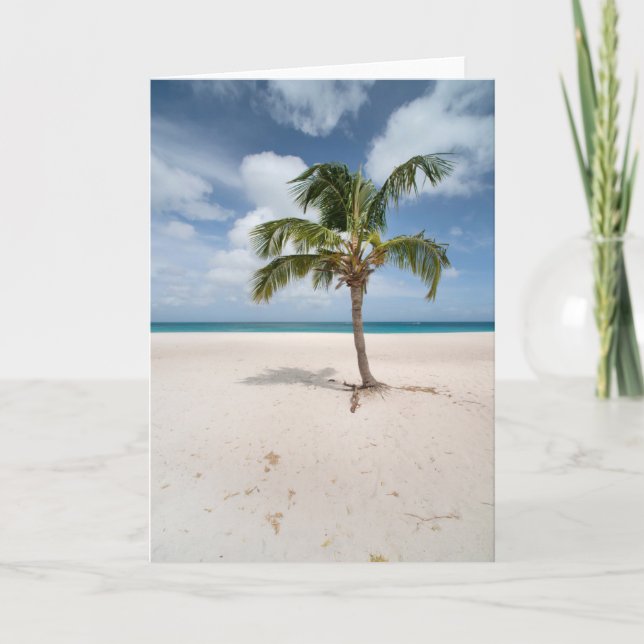 Cartão Tropical Beaches | Eagle Beach, Aruba (Frente)