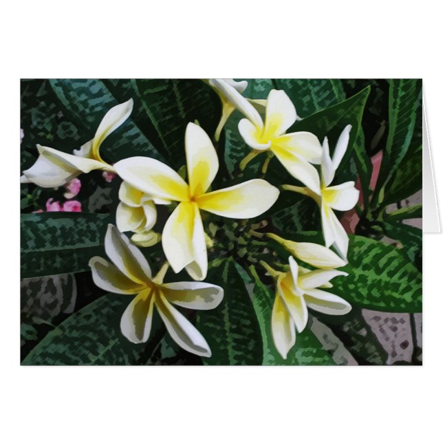 Cartão tropical do Plumeria (Frente Horizontal)