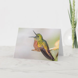 Cartão Tropical Hummingbird Talking