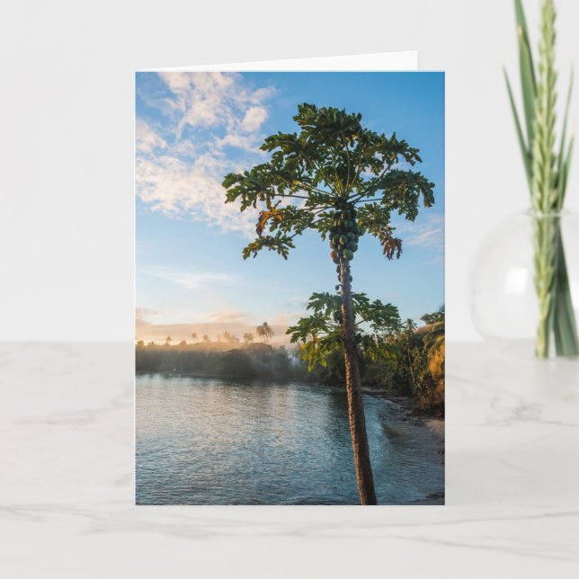 Cartão Tropical Paradise At Sunset, Fiji (Frente)