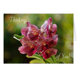 Cartão Tropical Vanda Orchid Cluster Card