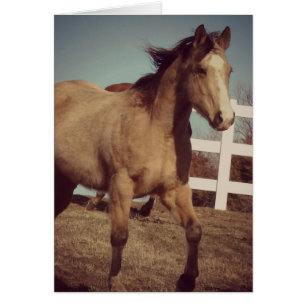 Cartão Trotes de Cavalo de Pele-Inglesa