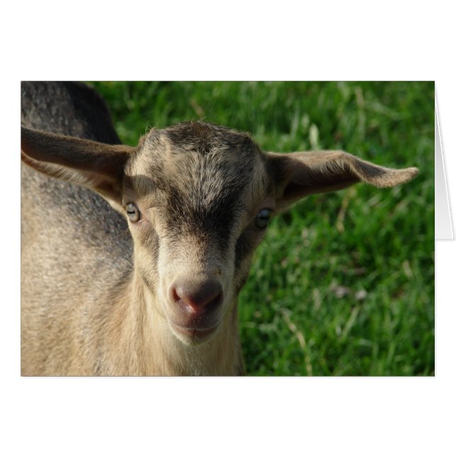 Cartão Trovão (Frente Horizontal)