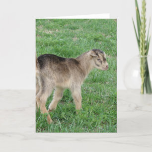 Cartão Trovão de Um Dia