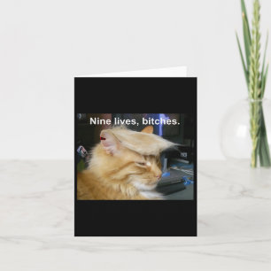 Cartão Trump Cat Nine Vive Engraçado Trump 2024 Votação E