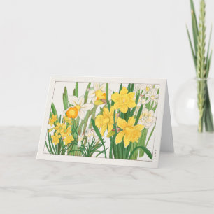 Cartão Trumpet narcissus de Tanigami Konan