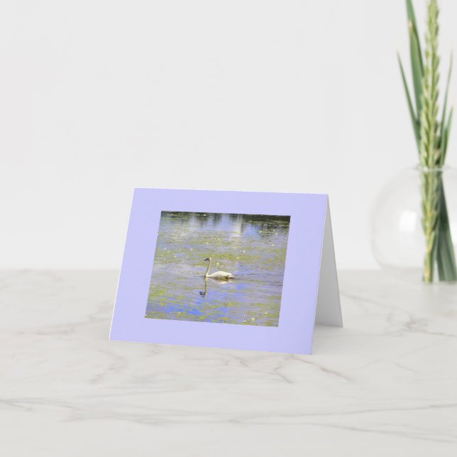 Cartão Trumpeter Swan Note Cards (Frente)