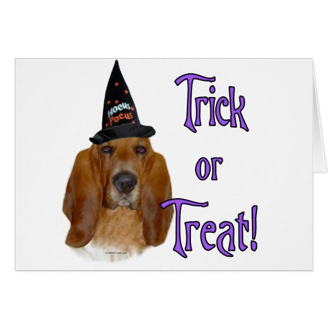 Cartão Truque de Hound Basset (Frente Horizontal)