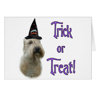 Cartão Truque de roda revestido macio