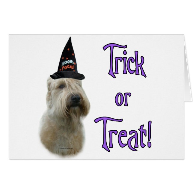 Cartão Truque de roda revestido macio (Frente Horizontal)