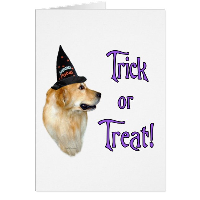 Cartão Truque do ouro Retriever (Frente)