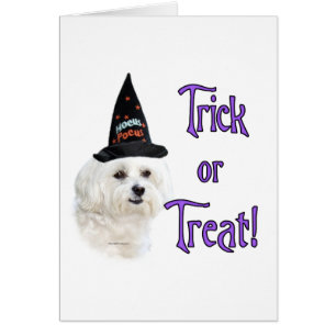 Cartão Truque Maltês