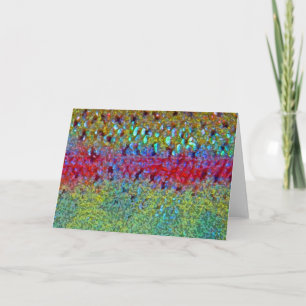 Cartão Truta arco-íris - Placa