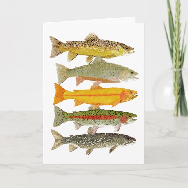 Cartão Truta comum de Pensilvânia (Frente)