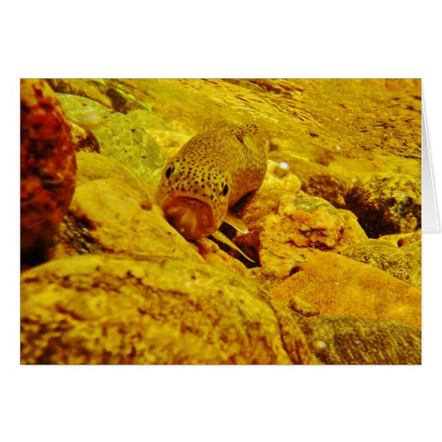 Cartão Truta em fluxo (Frente Horizontal)