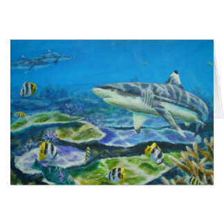 Cartão tubarão tahiti