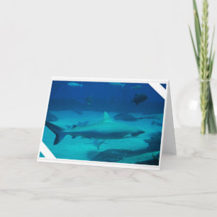 Cartão Tubarões
