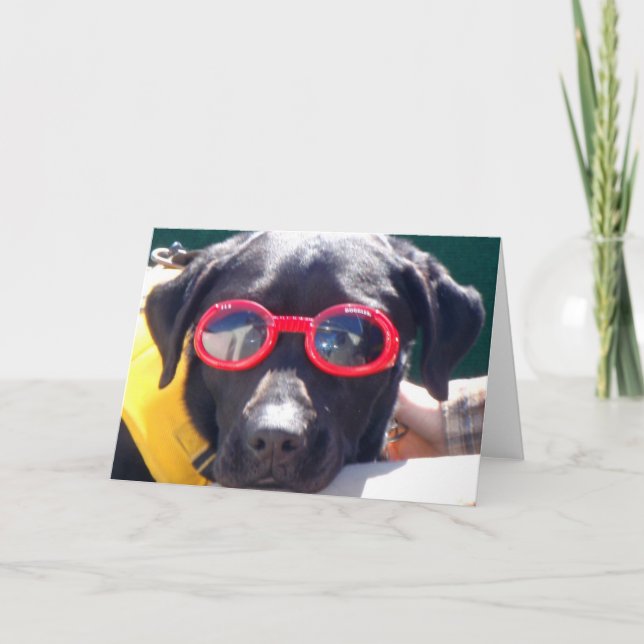 Cartão Tucker em Goggles Conservation Canines Labrador (Frente)