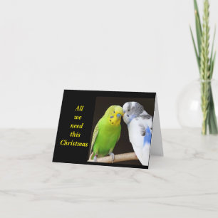 CARTÃO "TUDO O QUE PRECISAMOS É DE ALGUM MISTÃO"