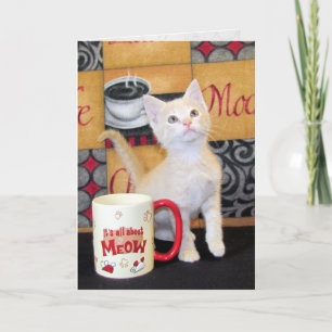 Cartão Tuffy McDuff's Mocha Dream Cat Birthday Card