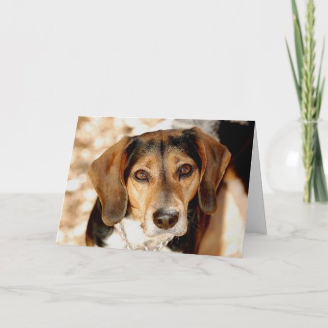 Cartão Tuffy, the beagle mix (Frente)
