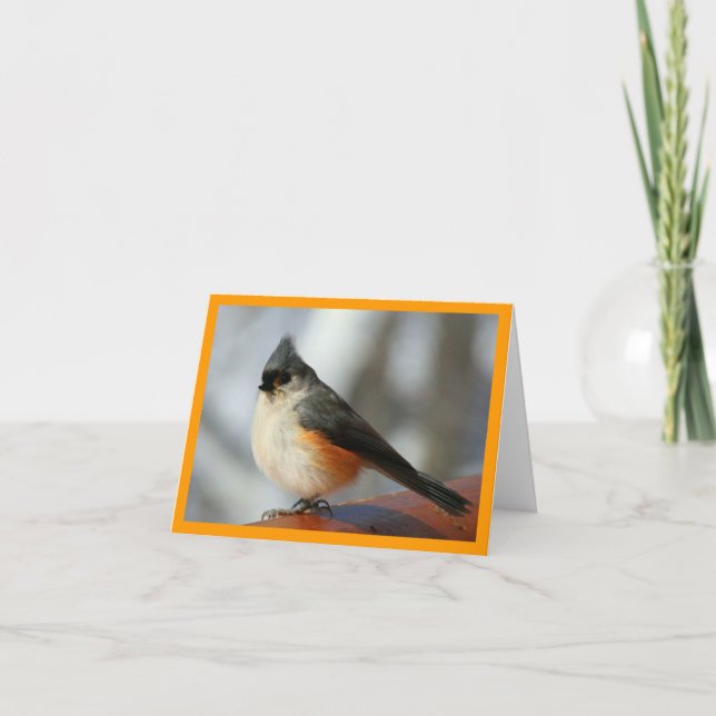 Cartão Tufted Titmouse Notecard (Frente)