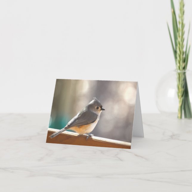 Cartão Tufted Titmouse Notecard - Blank Inside (Frente)