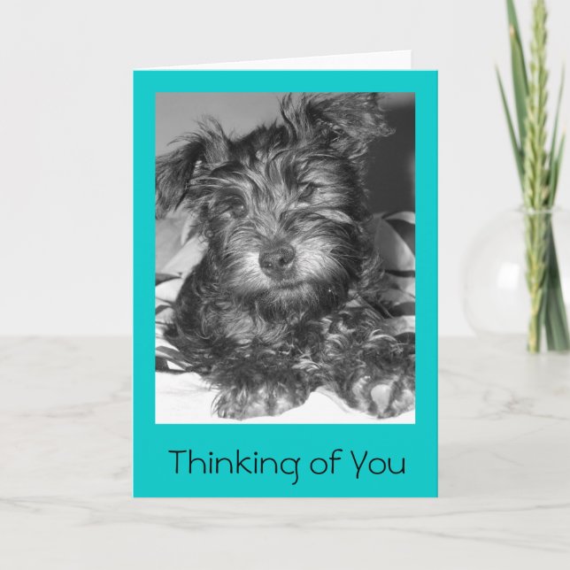 Cartão Tulio (Frente)