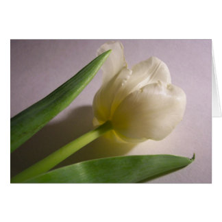 Cartão Tulip