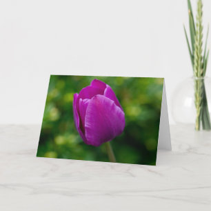 Cartão Tulip