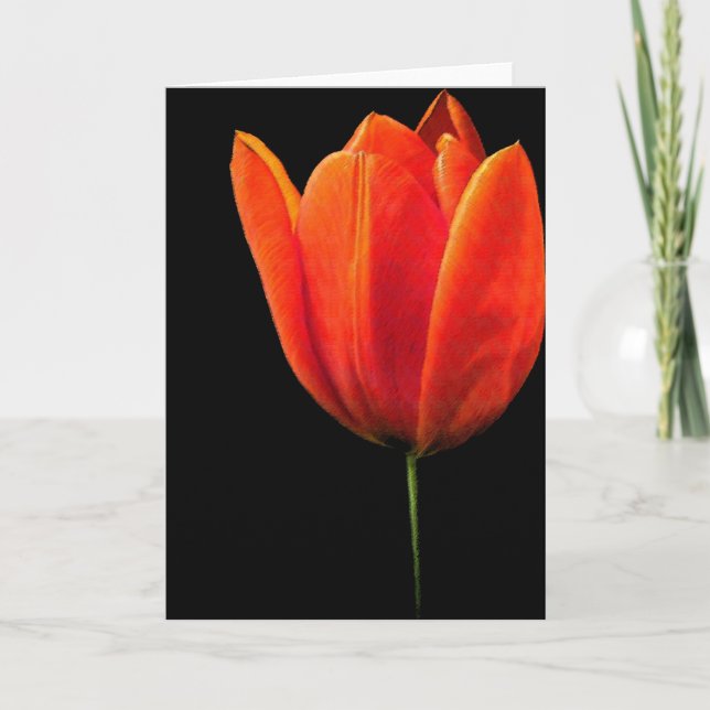 Cartão Tulip (Frente)
