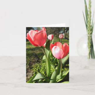 CARTÃO TULIP BLANK NOTE CARD