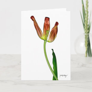 Cartão "Tulip" by J. Maya Luz