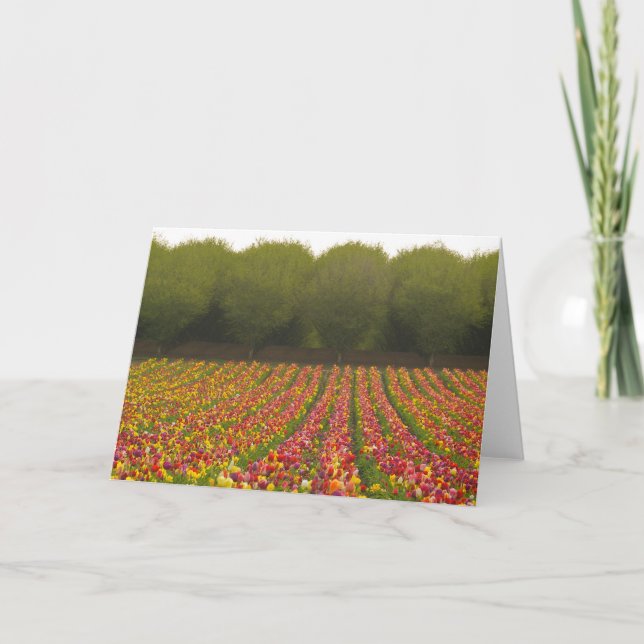 Cartão Tulip Field Greeting Card (Frente)