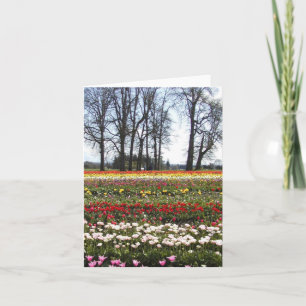 Cartão Tulip Fields greeting card