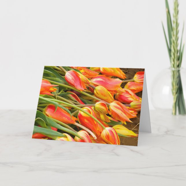 Cartão Tulip Greeting Card (Frente)