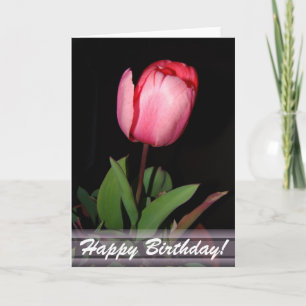 Cartão Tulip Happy Birthday Card
