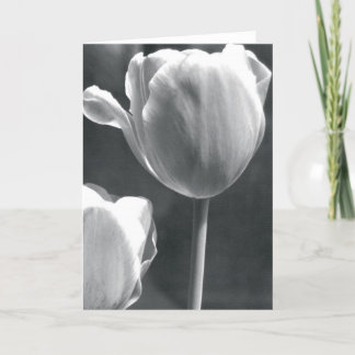Cartão Tulip in Black and White