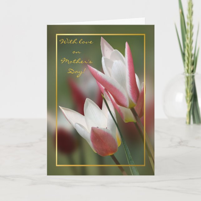 Cartão tulip Lady Jane Mothers day (Frente)