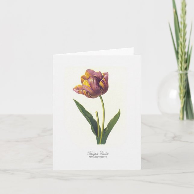 Cartão Tulip Note Card (Frente)