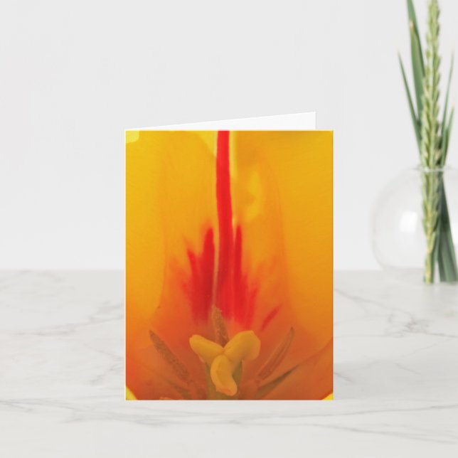 Cartão Tulip Notecard (Frente)